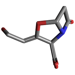 Amoklavin BID 625 mg 10 Tablet () Kimyasal Yapısı (3 D)