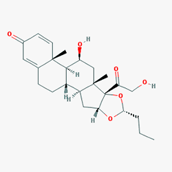 Pulmicort Nebül Nebulizer 0.50 mg/ml 20 Ampül (Budesonid) Kimyasal Yapısı (2 D)