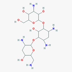 Thilomaxine Göz Damlası %0.3 3 mg 5 ml (Tobramisin) Kimyasal Yapısı (2 D)