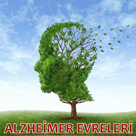 Alzheimer Evreleri Alzheimer Evreleri
