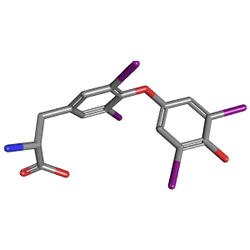 Euthyrox 150 mcg 50 Tablet (Levotiroksin) Kimyasal Yapısı (3 D)