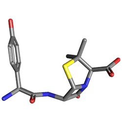 Alfoxil 500 mg 1 Flakon (Amoksisilin) Kimyasal Yapısı (3 D)