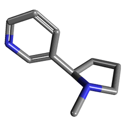 Nicotinell Sakız 2 mg 24 Naneli Nikotin Sakızı (Nikotin) Kimyasal Yapısı (3 D)