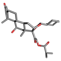 Alvesco 160 mcg 120 Doz (Siklesonid) Kimyasal Yapısı (3 D)